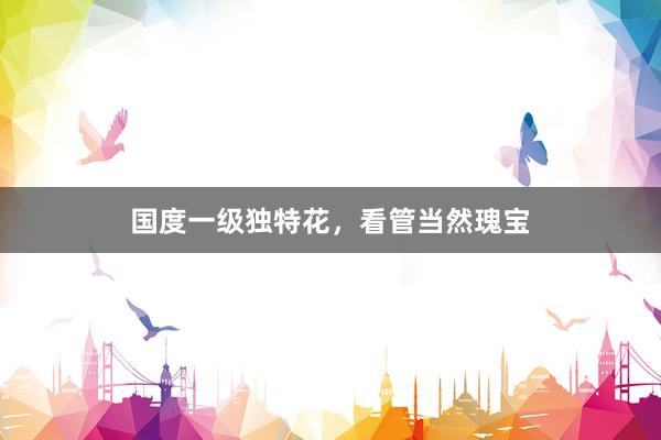 国度一级独特花，看管当然瑰宝