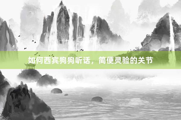 如何西宾狗狗听话,简便灵验的关节