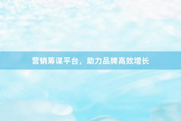 营销筹谋平台，助力品牌高效增长